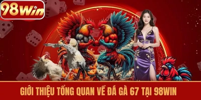 Giới thiệu tổng quan về Đá gà 67 tại 98win