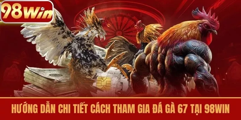 Hướng dẫn chi tiết cách tham gia Đá gà 67 tại 98win