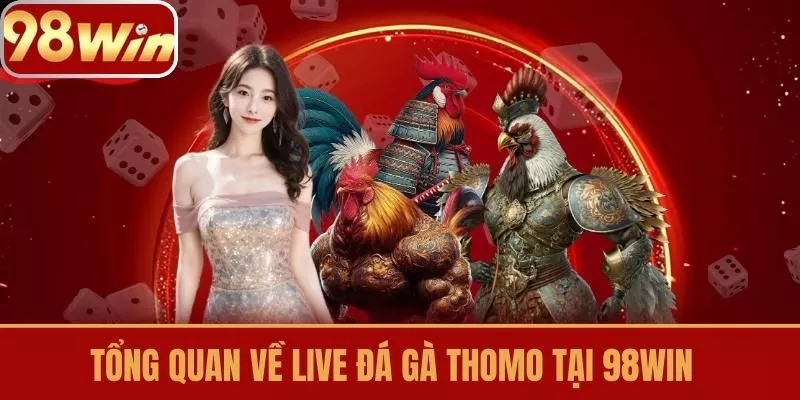 Tổng quan về live đá gà Thomo tại 98Win