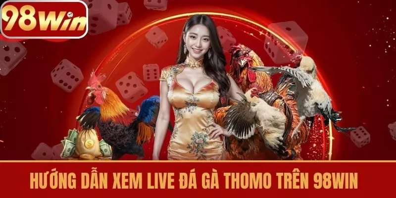 Hướng dẫn xem live đá gà Thomo trên 98Win