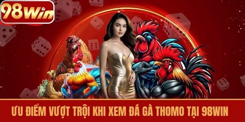 Ưu điểm vượt trội khi xem đá gà Thomo tại 98Win