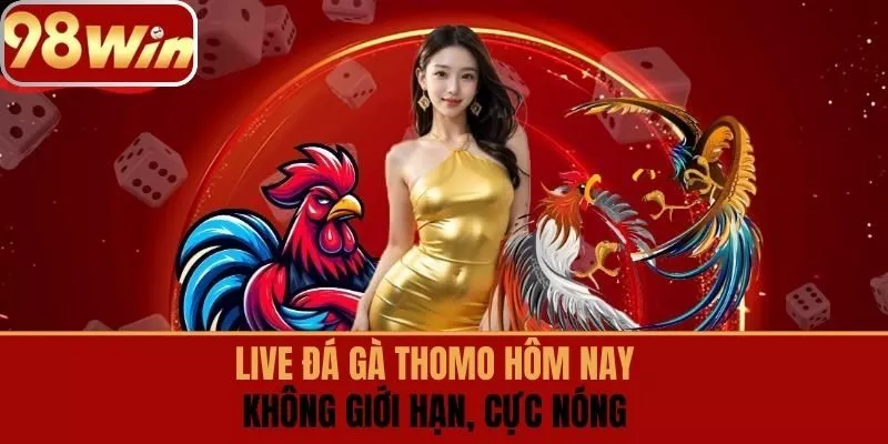 Live đá gà thomo