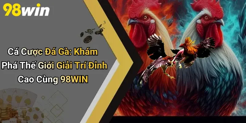 Cá Cược Đá Gà: Khám Phá Thế Giới Giải Trí Đỉnh Cao Cùng 98WIN