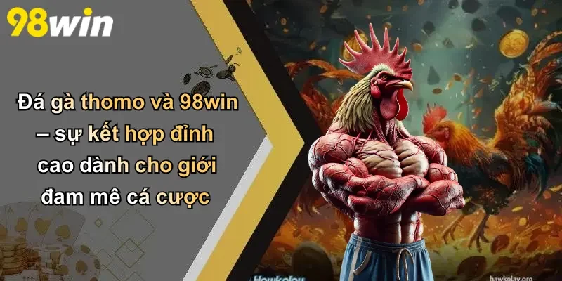 Đá gà thomo và 98win – sự kết hợp đỉnh cao dành cho giới đam mê cá cược